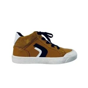ACEBOS – Baskets 5639 Moutarde